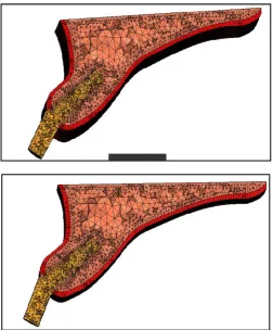Fig. 2c&2d. 200 and 300 abutment model with elements, nodes  