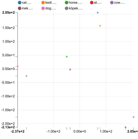 Figure 3.1: t-SNE visualization of animals names in Turkish and English using word embeddings extracted by the 6-gram tanh model using tokenization as a preprocessing
