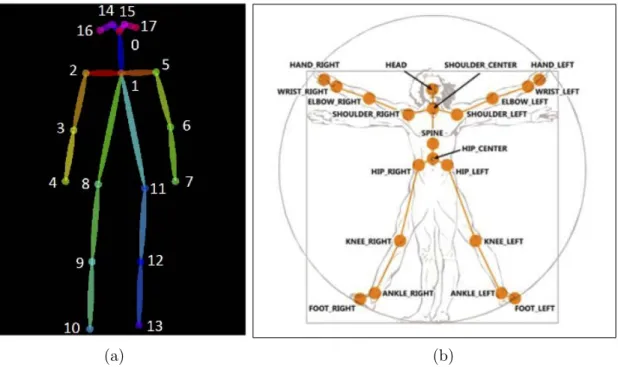 Figure 7: (a) OpenPose output format (COCO) ; (b) Joints tracked by the Kinect sensor In conclusion, several software packages have been developed for human pose  estima-tion from RGB images or depth images, being the ones based on CNNs the most  prom-isin