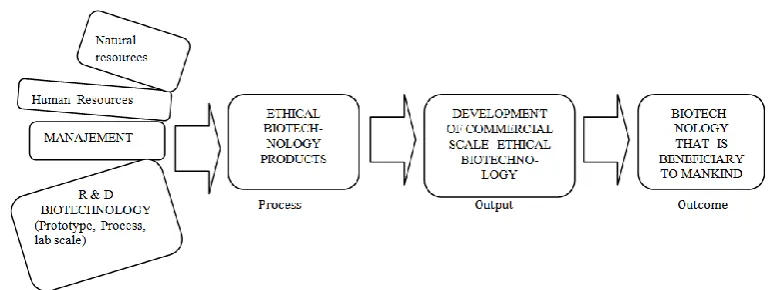 Figure 1. Ethical Biotechnology Development Process  