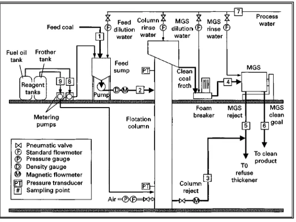 Figure 8Schematic drawing of the combined advanced flotation/enhanced gravity separation circuit