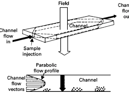 Figure 1Schematic representation of the FFF channel with theparabolic flow profile in detail