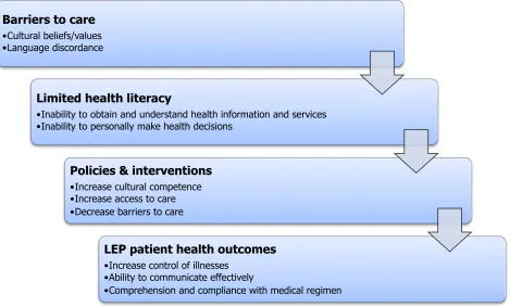 FIGURE 2: Conceptual framework for the review 
