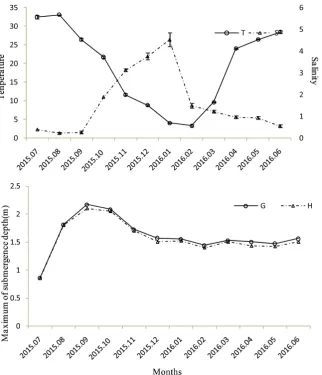 Figure 1. Monthly changes of the water temperature, salinity and maximum of submer-gence depth in 2 subhabitats (T, Temperature; S, Salinity; G, the Mudflat; H, the Salt marsh)