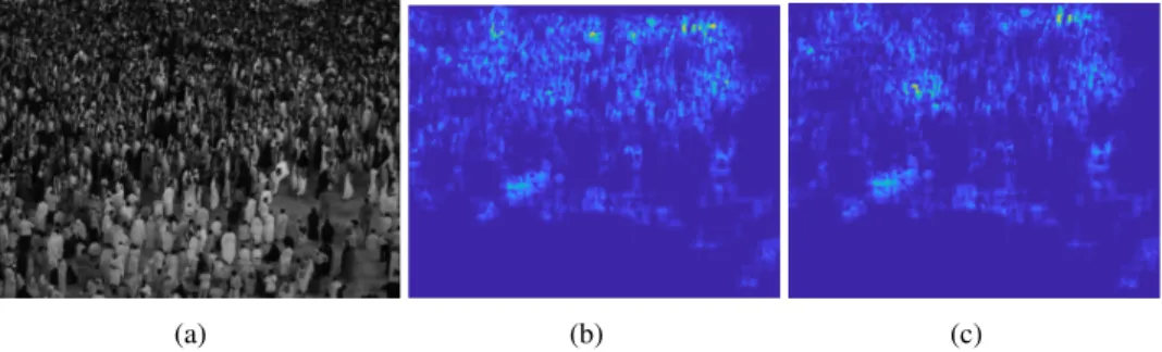Figure 5: (a) One frame of Makkah sequence. (b) The appearance local spatial entropy of (a)