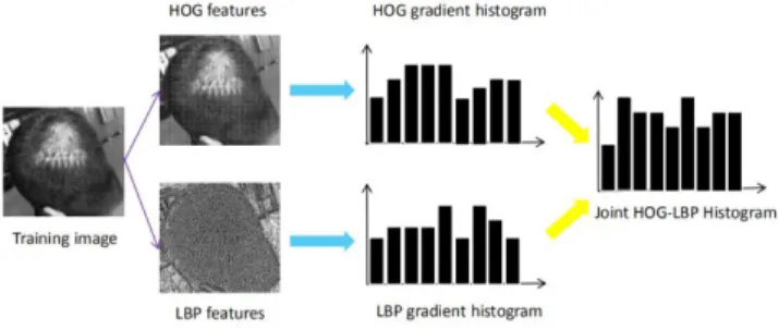Figure 2. Illustration of the standard LBP operator. The image is taken from the Daimler pedestrian dataset.