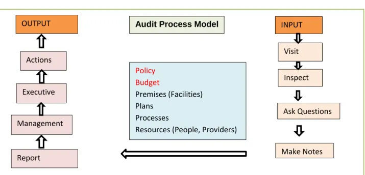Figure 6 – The Audit Process   