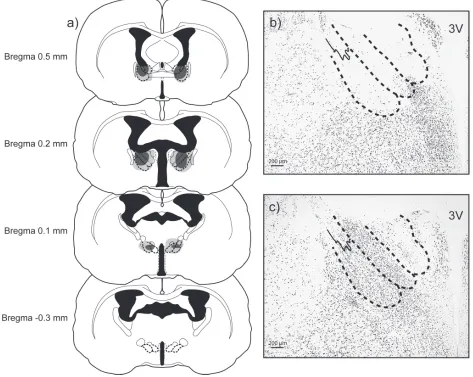 Figure 2.1: Lesion Reconstruction. a) Coronal sections through rostral to caudal extent of BNST showing largest (light gray) and smallest (dark gray) lesion included in the BNST-X group