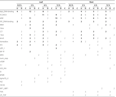 Table 2 Significant affected biochemical pathways under drought stress in rice (Continued)