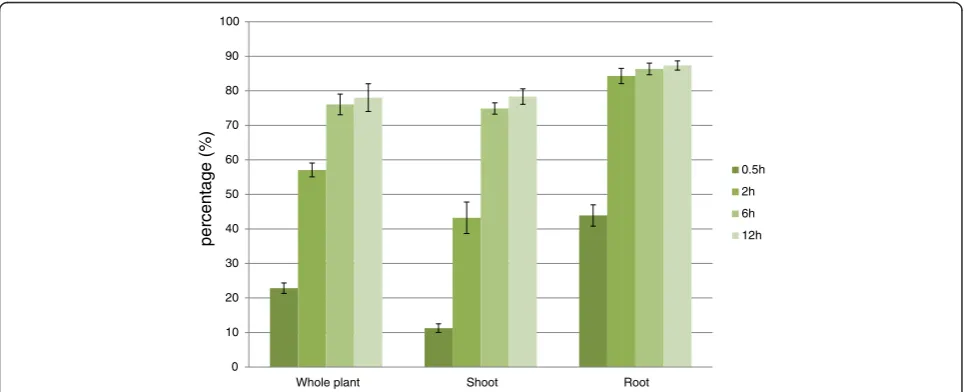 Figure 1 Fresh weight loss of rice plant during dehydration. The y axis value is in percentage