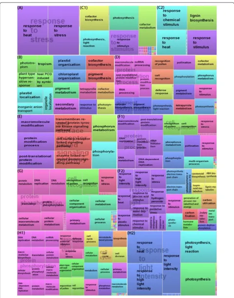 Figure 3 (See legend on next page.)