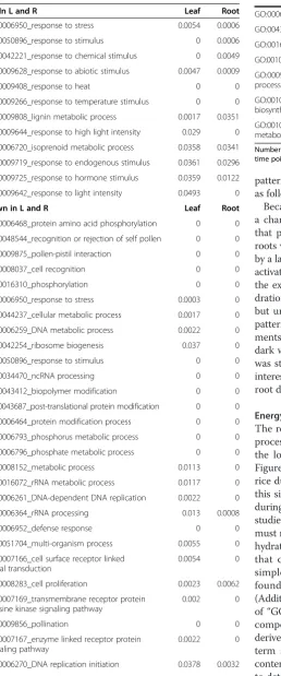 Table 1 Commonly regulated GO terms in leaf and rootof rice