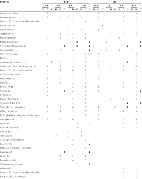 Table 2 Significant affected biochemical pathways under drought stress in rice