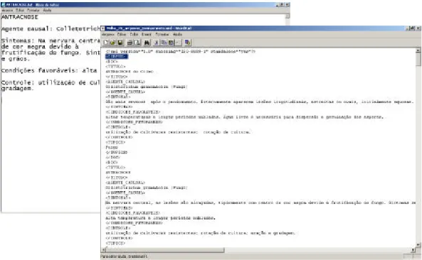 Fig. 3 An example in TXT and XML format.