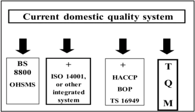 Figure 6. Possible development ways to the domestic quality model  