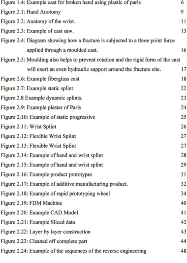 Figure 2.9: Example plaster of Paris 