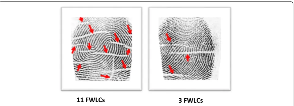 Fig. 1 Techniques for fingerprints white line counts