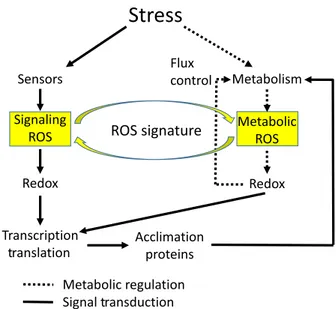 Figure 1. The role of reactive oxygen species (ROS) in abiotic stress accli- accli-mation.