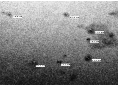 Figure 9: Overlaid plot of responses after dilution with PBS buffer 