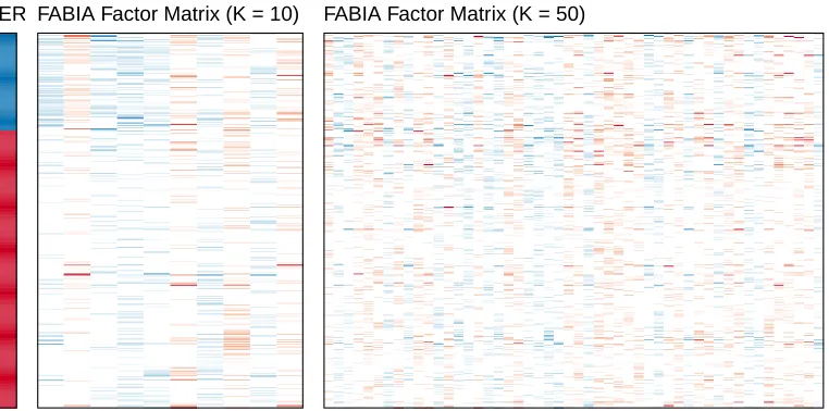 Figure 7: Left: Clinical Estrogen Receptor (ER) status (Blue = ER-, Red = ER+). Middle:FABIA factor matrix (initial K∗ = 10) with rows ordered by clinical ER status