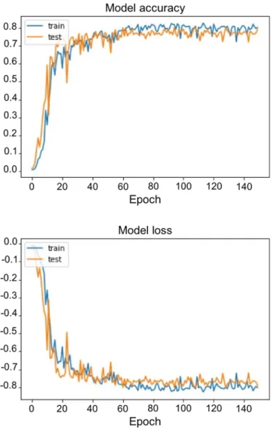Fig 2. Learning curves with DSC over epochs (upper panel) and loss over epochs (lower panel).