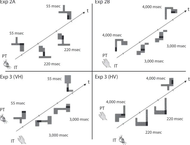 Figure 1. Schematic example of the temporal sequence of stimulus events during a typi-
