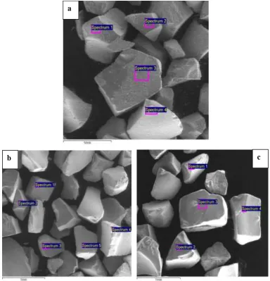 Figure 1: SEM images of (a) virgin FeOOH, (b) spent FeOOH for bicarbonate, at 300 mg/L initial 