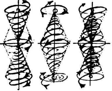 Figure 3. Multi-directional Spirals