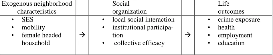 Figure 1: General Neighborhood Effects Model  