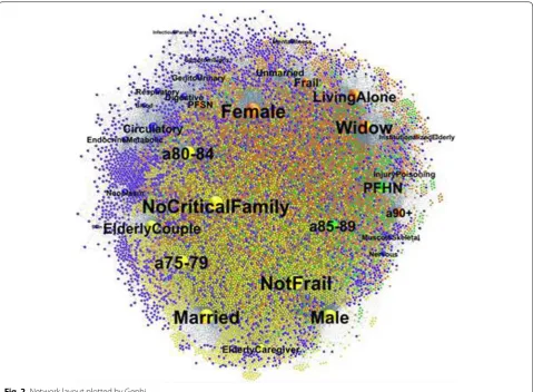 Fig. 2 Network layout plotted by Gephi