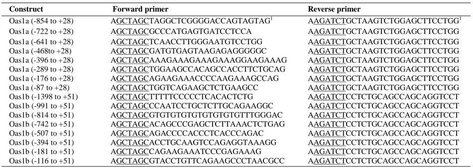 Table 2.1. Primers used to generate the Oas1a and Oas1b promoter deletion reporter constructs