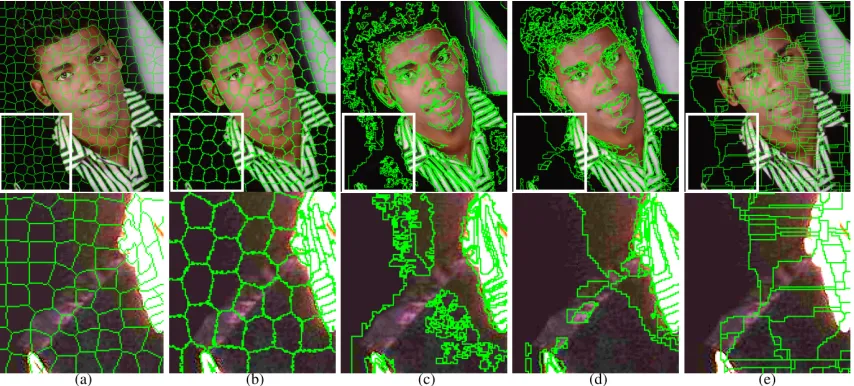 Figure 2.8 Levinshtein et al. develop the TurboPixels oversegmentation algorithm (im-age (a) above)