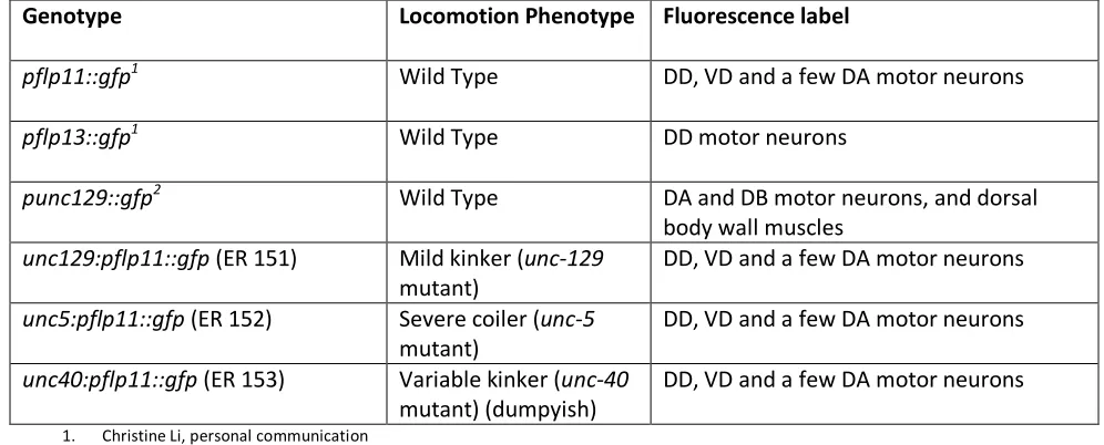Table 1 - Genotypes of the animals used.  