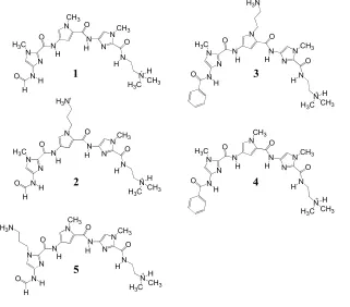 Figure 3.1 Structures of the monoamino polyamide f-ImPyIm (1), an orthogonally positioned diamino polyamide f-ImPy*Im (2), the non-formamido polyamides, diamino Ph-ImPy*Im (3) and monoamino Ph-ImPyIm (4), and a diamino polyamide f-Im*PyIm (5)