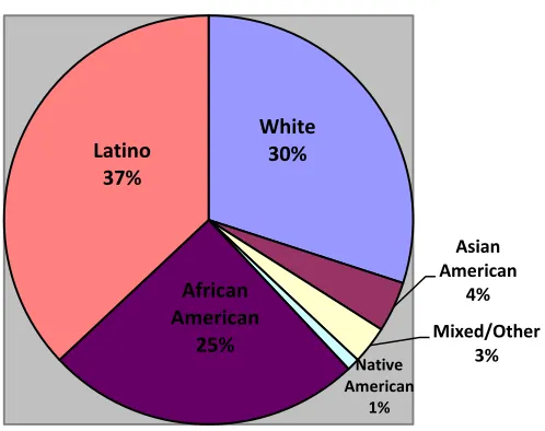 Figure 1. Race and Ethnicity of Early College Students. Source: Berger et al., 2010. 