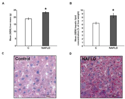 Figure 2.2: Confirmation of non-alcoholic fatty liver disease. Mean (+/− SEM) (A) liver mass (C: n = 21, NAFLD: n = 19) and (B) hepatic lipid concentration (C: n = 21, NAFLD: n = 18; *p < 0.05 vs