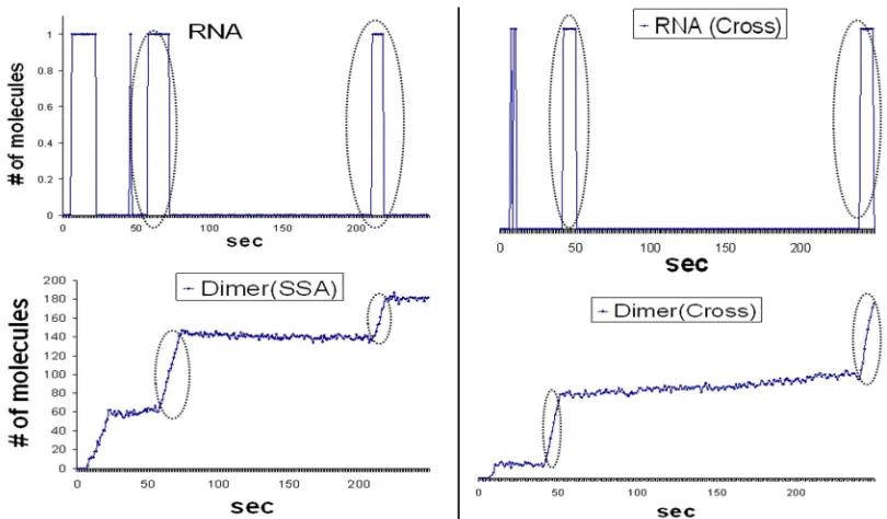 Figure 9 Dimer (bottom) responds to the random fluctuations in RNA (top). These sto-chastic effects (dotted ovals) that are normally observed in SSA (left panel) are also observed in 