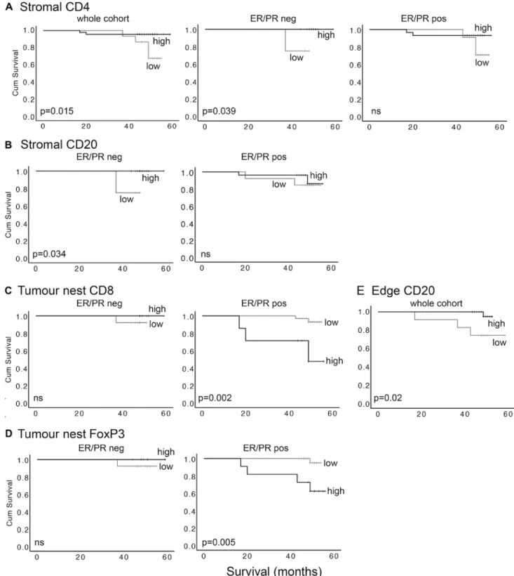 Fig. 4    Tumour infiltrating lymphocytes predict outcome, depend- depend-ing on subclass, location, and ER/PR status of the cases