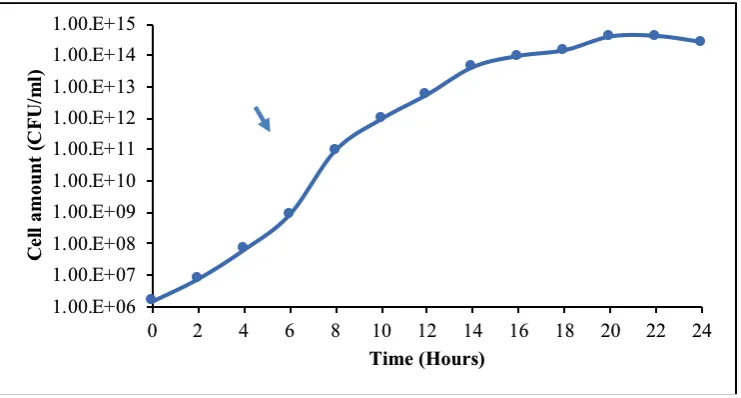 Figure 1: The curve of Bacillus subtilis AAF2 UAAC 20701 bacterial isolate used in this study 