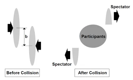 Figure 1.6: Stages of heavy ion collisions at RHIC.