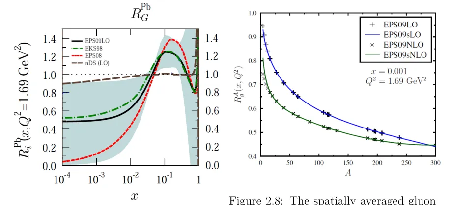 Figure 2.8: The spatially averaged gluon