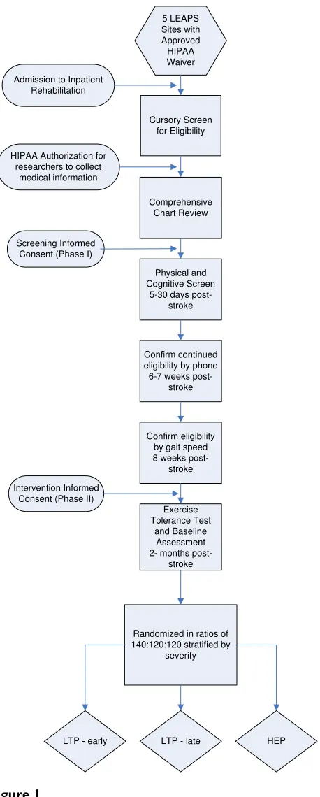 Table 1 summarizes the consent, screening processes, andassessments that are conducted at 5–30 days, 6–8 weeks,and at 2 months post-stroke, prior to randomization.