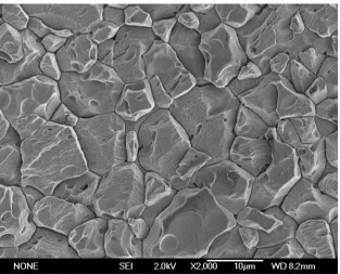 Figure 2. Scanning electron micrograph (2000× magnification) of the as-received CP titanium foil surface showing preexist-ing oxide layer preferentially aligned with foil rolling direction (length of the page)