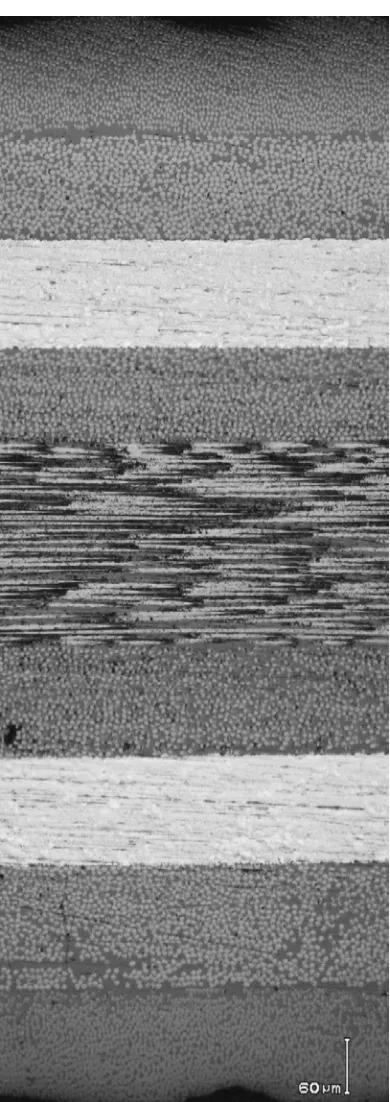 Figure 7. Optical micrograph (100× magnification) of a [0/45/Ti/-45/90]s TiGr FML cross-section