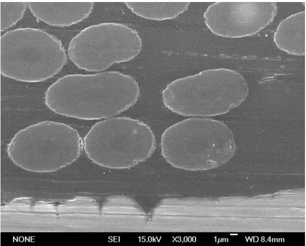Figure 8. Scanning electron micrograph (3000 × magnification) of the titanium/45° composite interface in a [0/45/Ti/-45/90]sTiGr FML