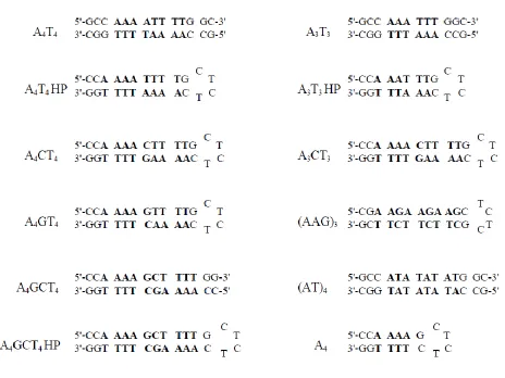 Figure 4. DNA seuqences tested. Shorthand is listed to the left of each oligonucleotide, and will be used to refer to the sequences throught the text