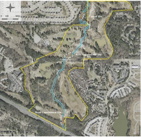 Figure 1.2 – Map of the study reach Satellite image of the study reach and the three channel sites