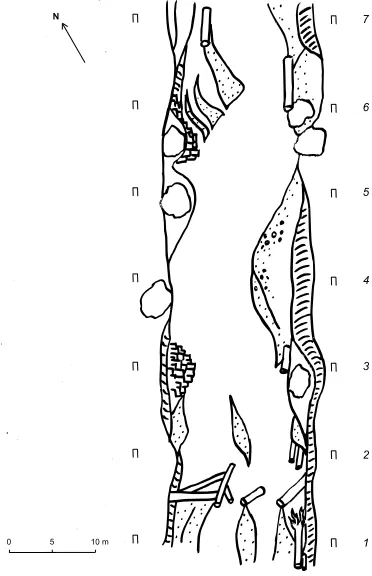 Figure 3.1 – Control Site cross-sectional analysis Cross-sectional plots of pre- and post-flood channels in the CS