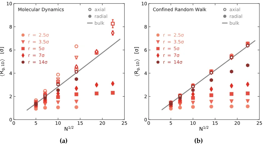Figure 2.3. Average Rg values in the conﬁned (radial, shown as ﬁlled markers) and