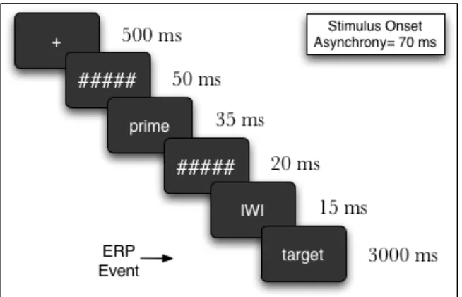 Figure 3: Stimulus protocol. 